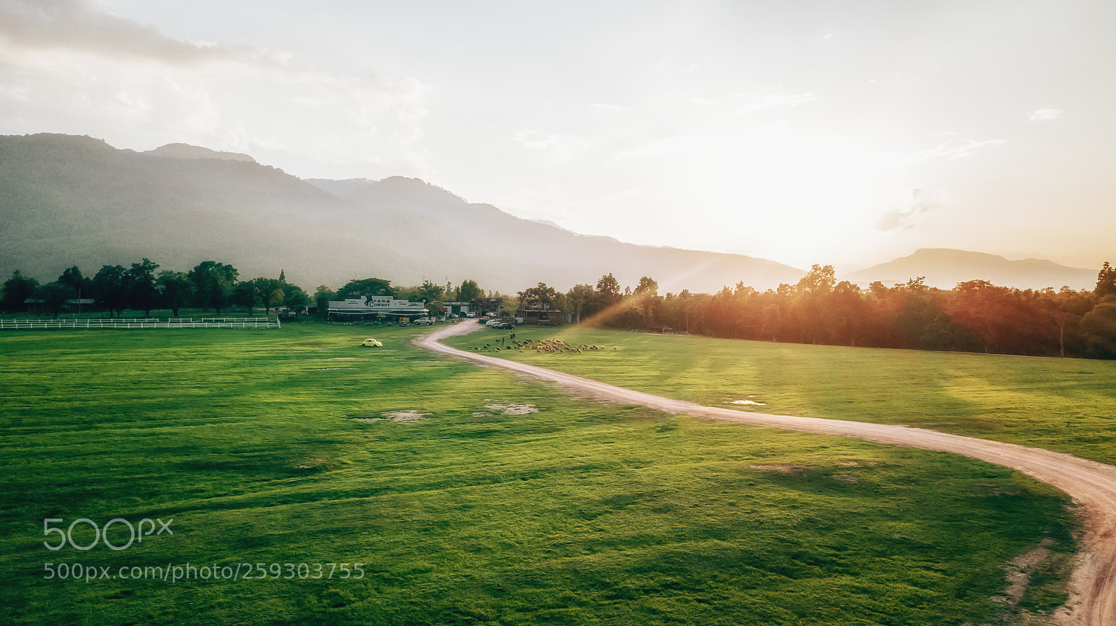 DJI FC220 sample photo. Sun set photography