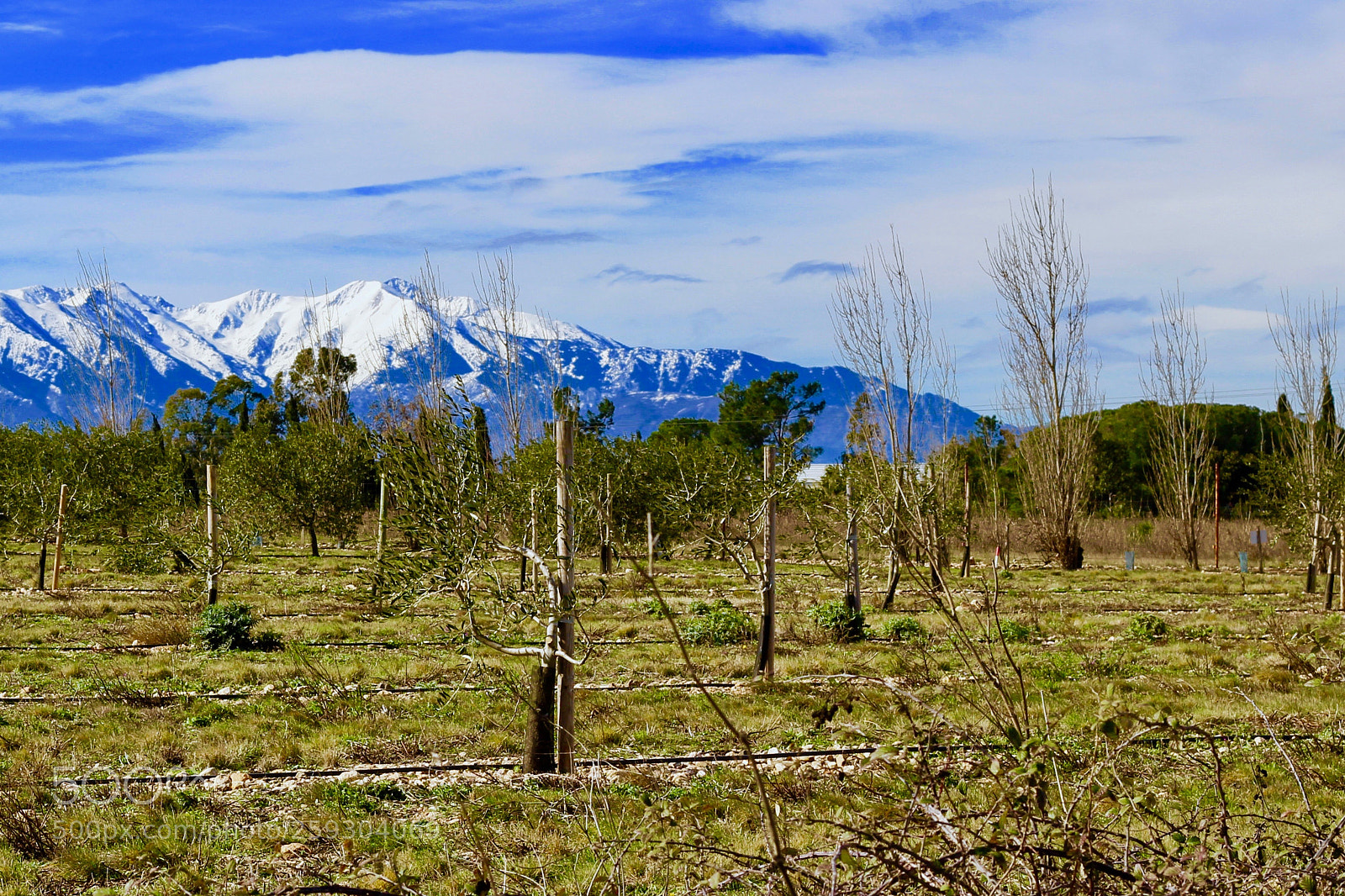 Canon EOS 100D (EOS Rebel SL1 / EOS Kiss X7) sample photo. El canigou photography
