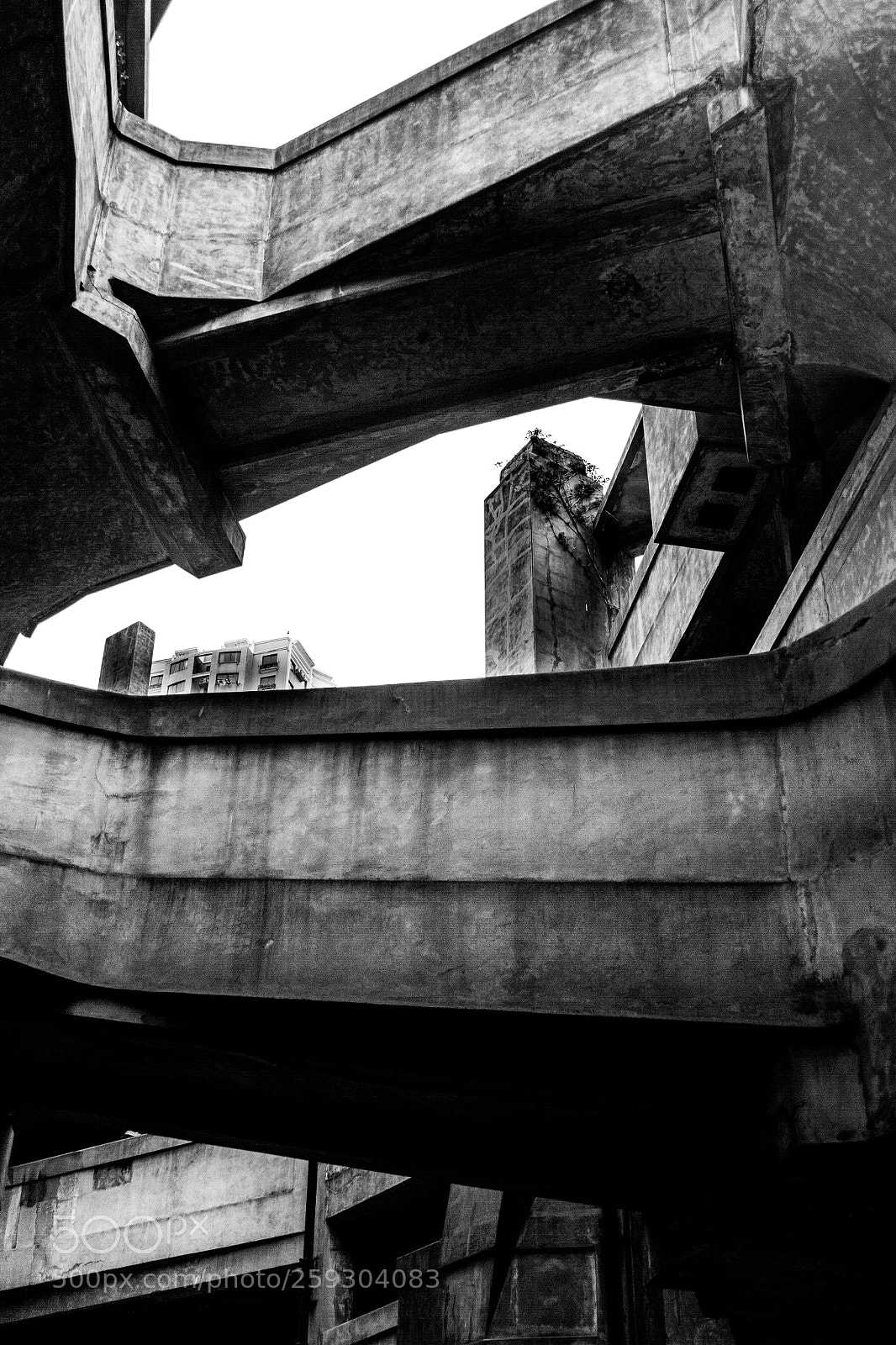 Canon EOS 550D (EOS Rebel T2i / EOS Kiss X4) sample photo. Walkways photography