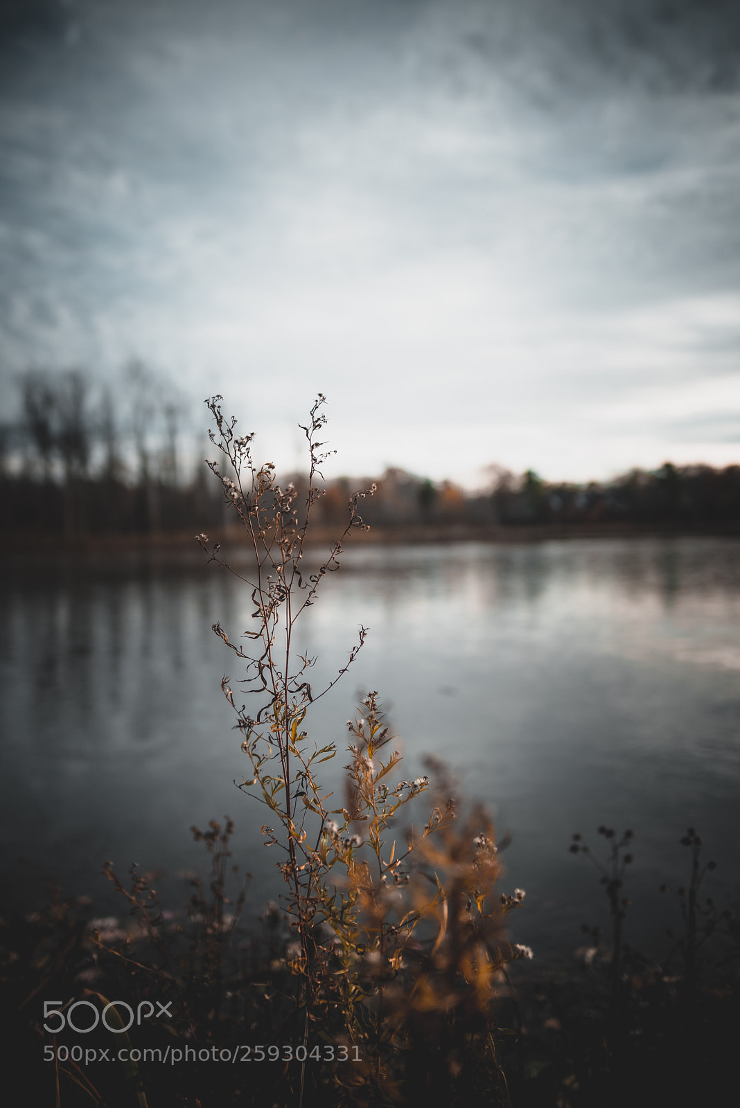Nikon D750 sample photo. Everything could be okay photography