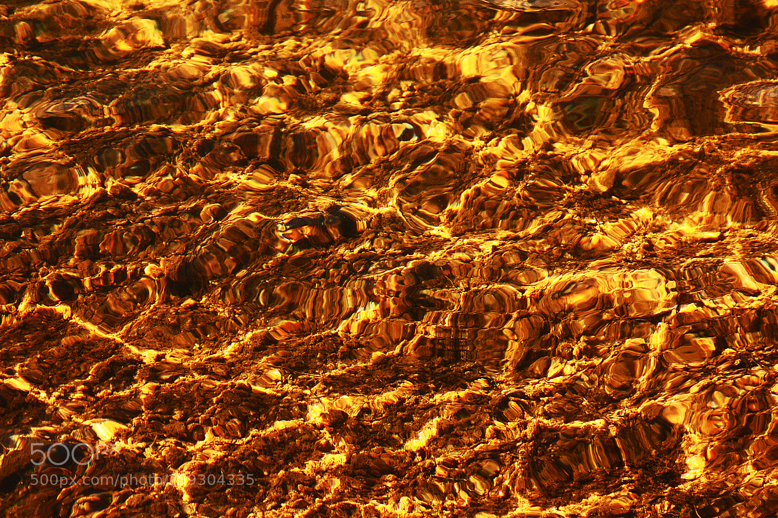 Canon EOS 450D (EOS Rebel XSi / EOS Kiss X2) sample photo. Water abstract x photography