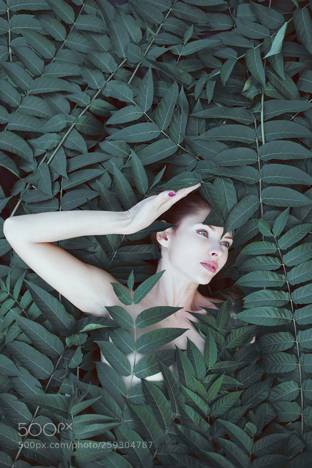 Nikon D810 sample photo. рх photography