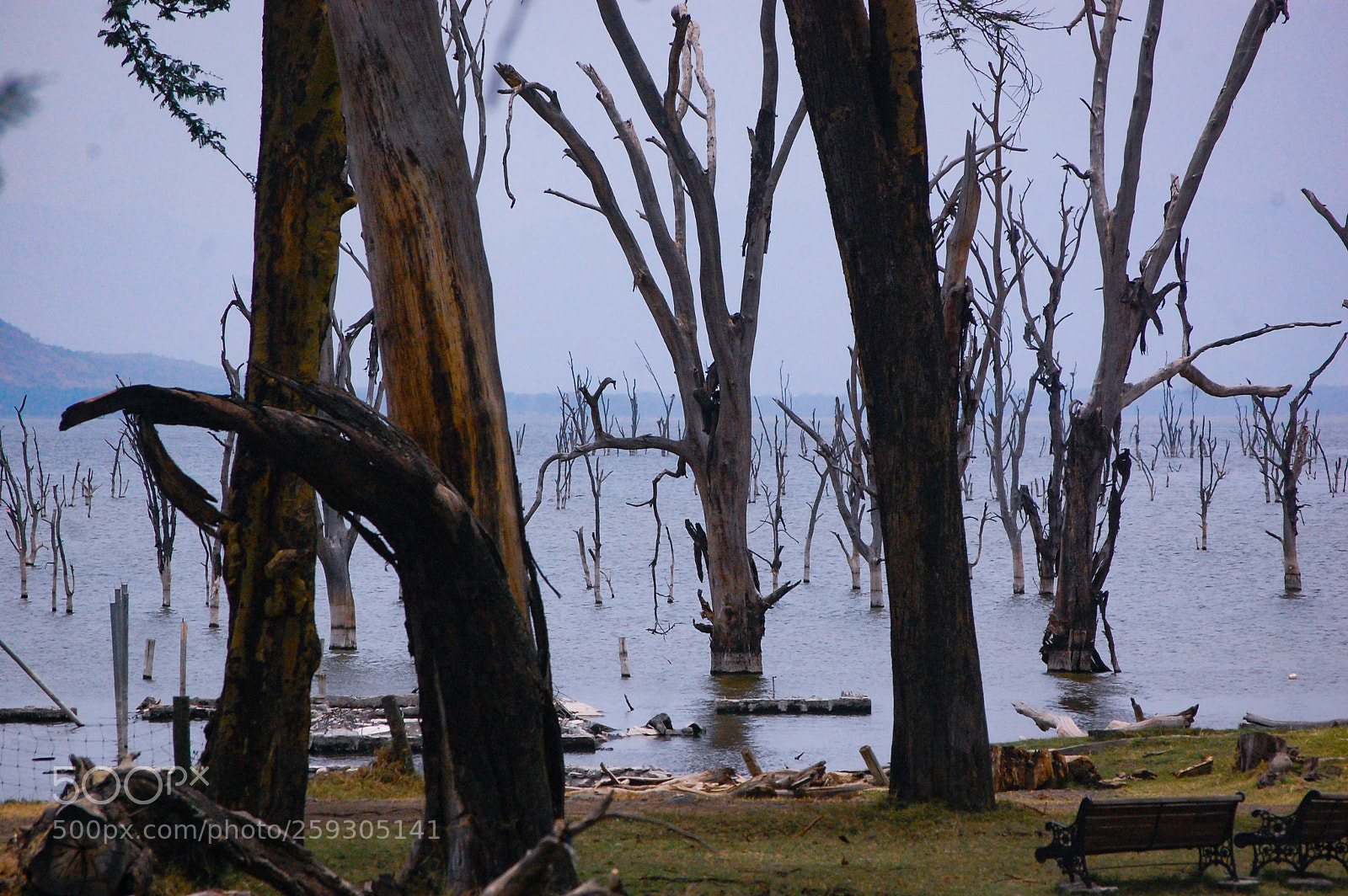 Nikon D40 sample photo. Lakeside photography