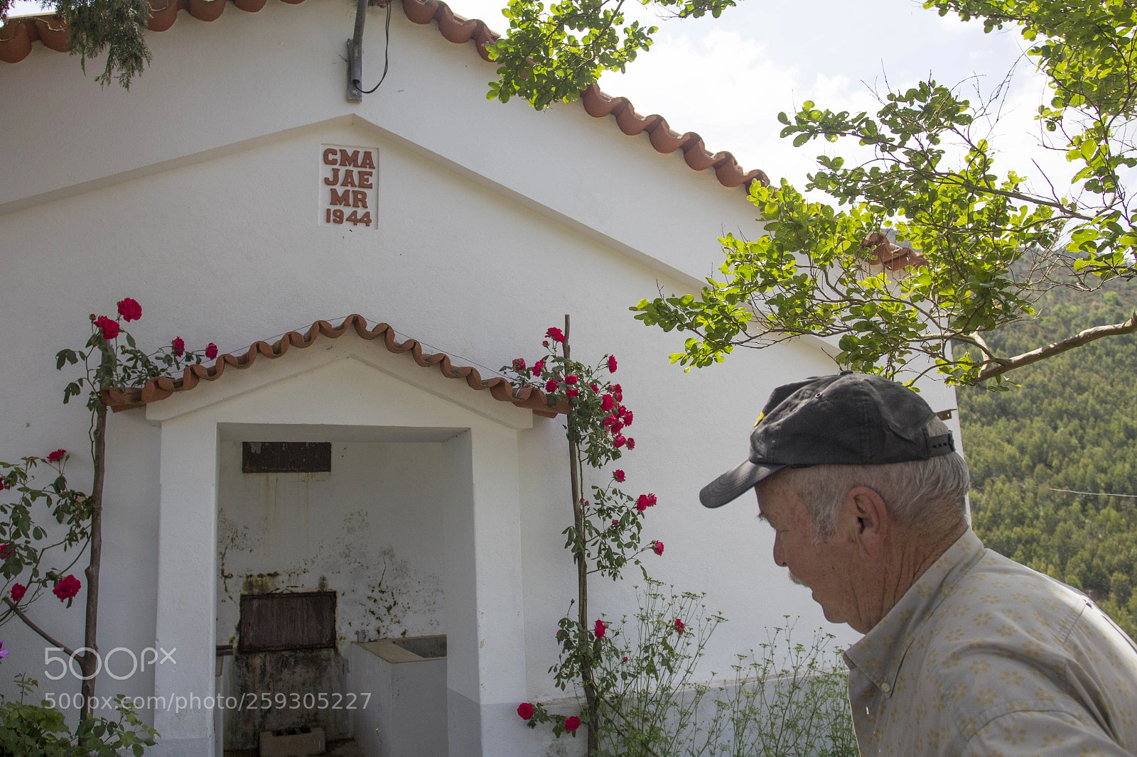 Canon EOS 60D sample photo. Travassos photography