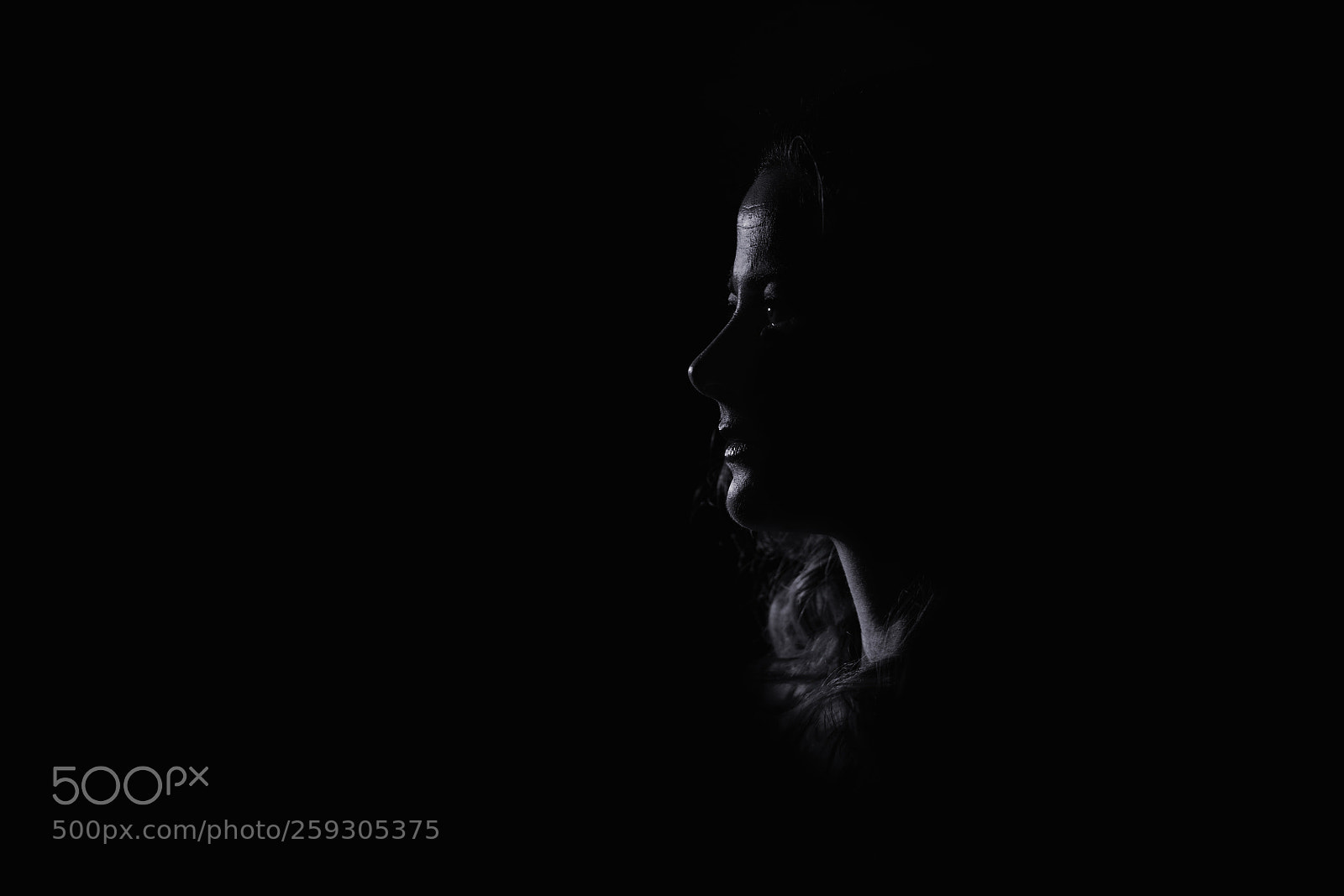 Canon EOS 5D Mark II sample photo. In the dark photography