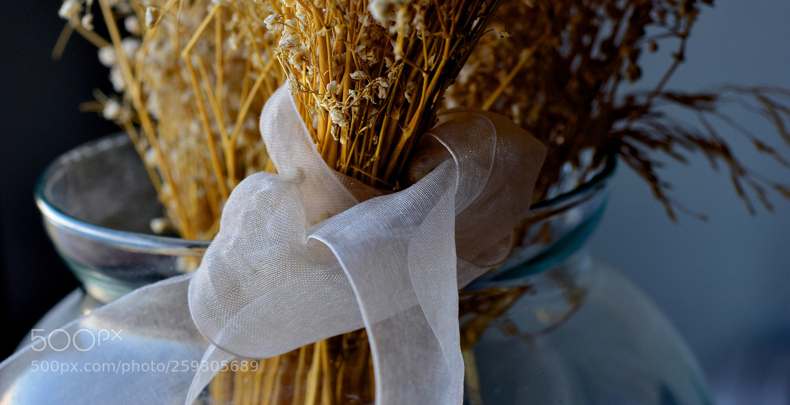Nikon D7200 sample photo. Lazo photography