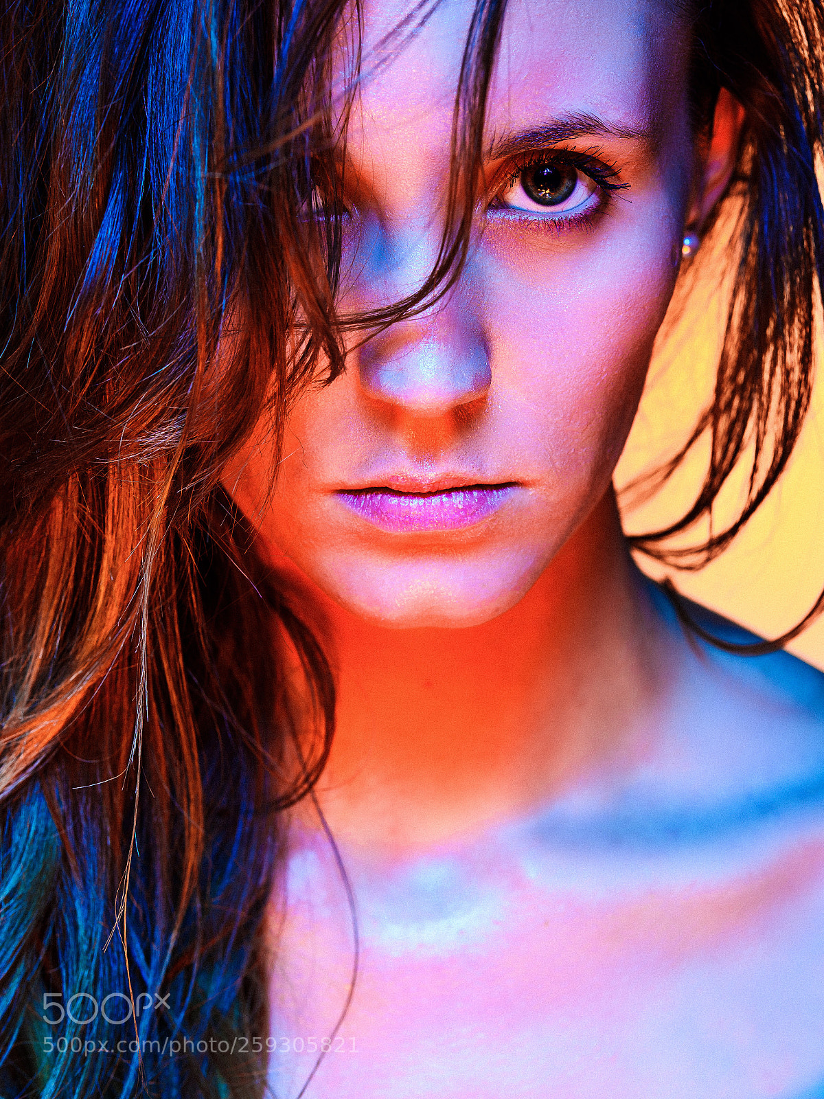 Nikon D810 sample photo. Saturation  photography