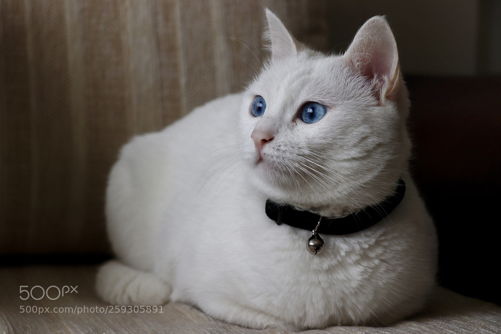Canon EOS 77D (EOS 9000D / EOS 770D) sample photo. Untitled photography