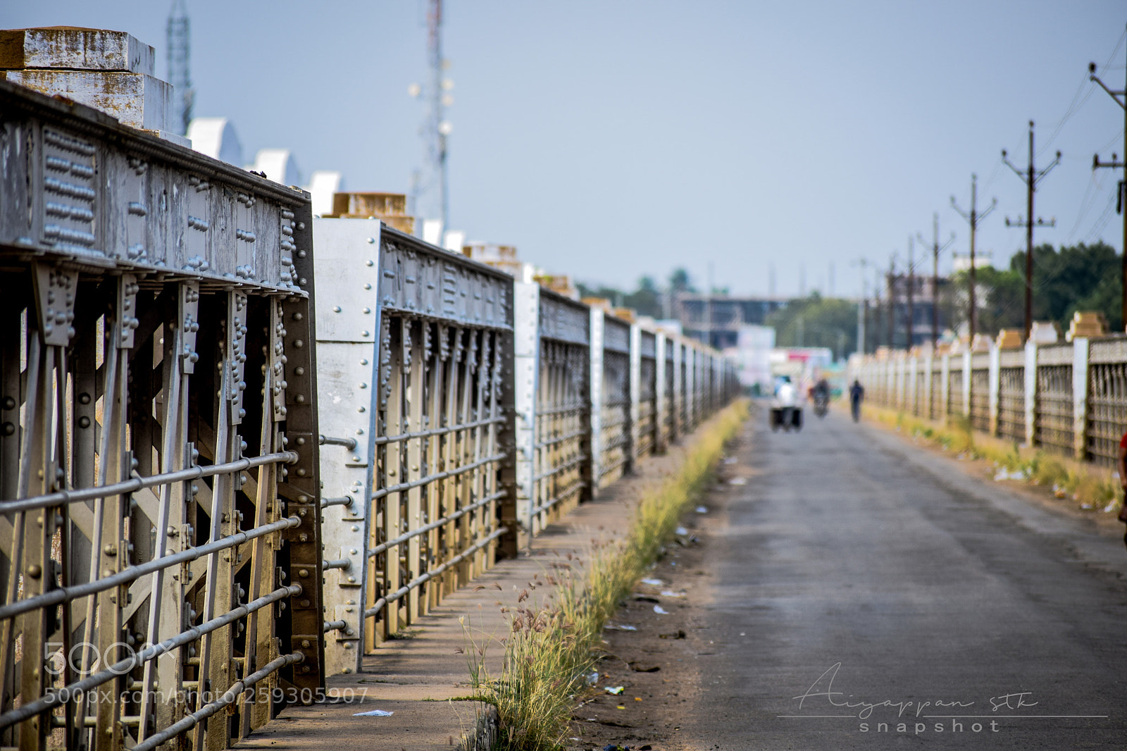 Nikon D5300 sample photo. Bridge photography