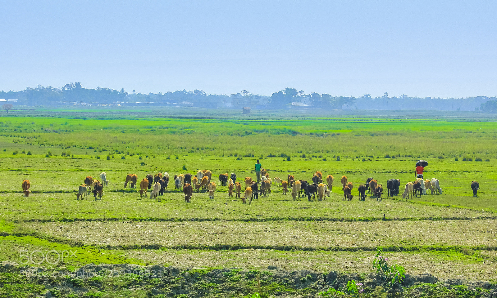 Canon EOS 60D sample photo. Life of cowboys photography