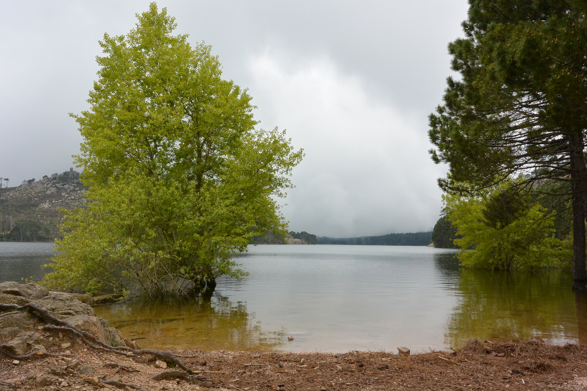 Nikon 1 J3 sample photo. Nature lac photography