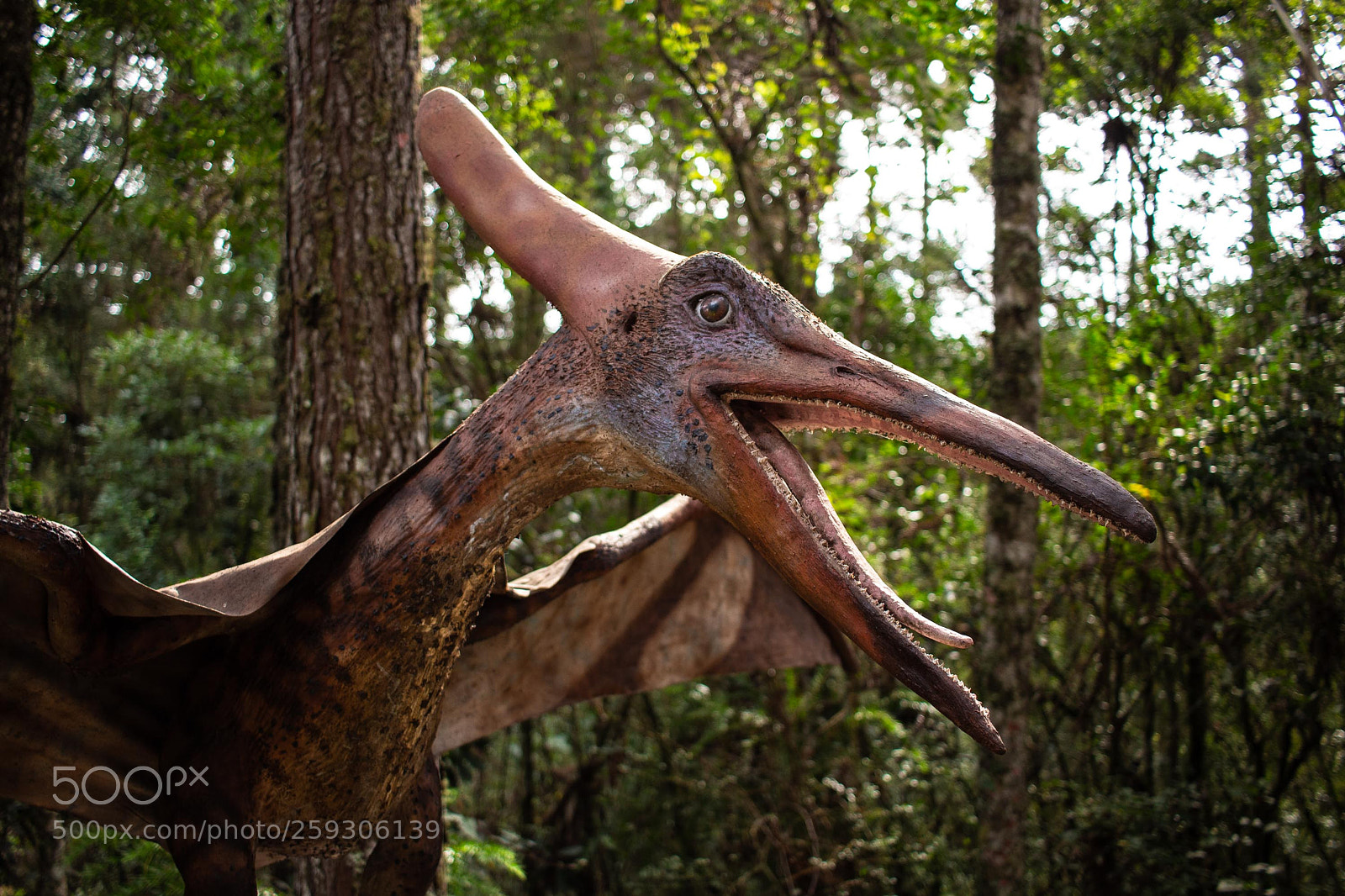 Canon EOS 700D (EOS Rebel T5i / EOS Kiss X7i) sample photo. Dino photography