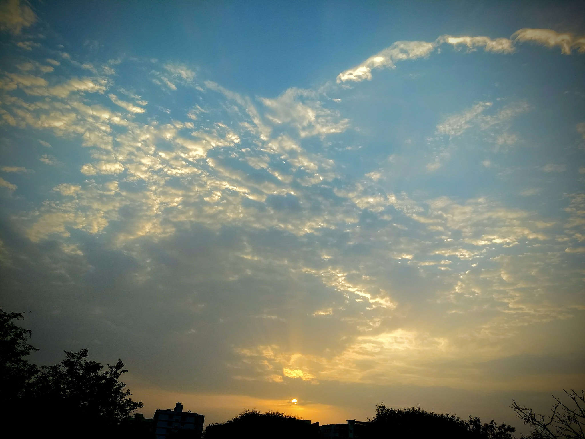 Motorola Moto G (5) Plus sample photo