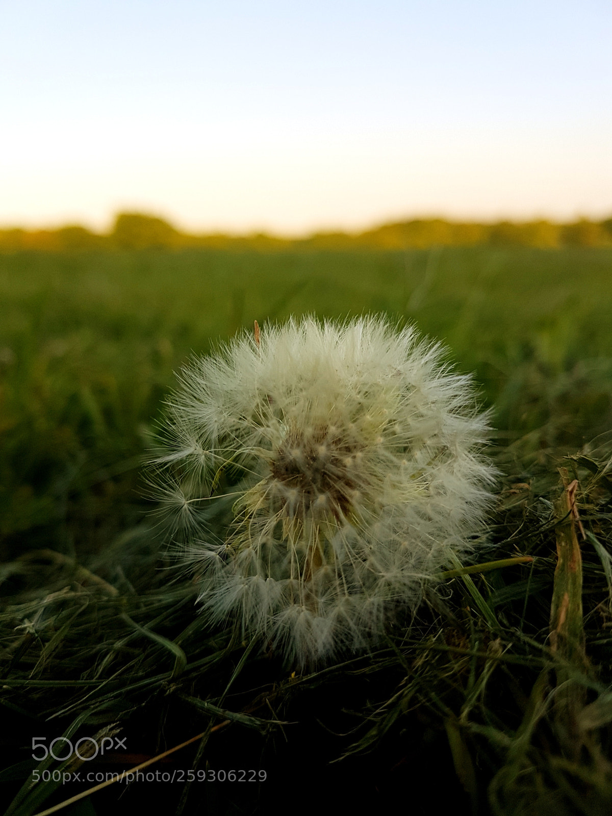 Samsung Galaxy S7 sample photo. Untitled photography