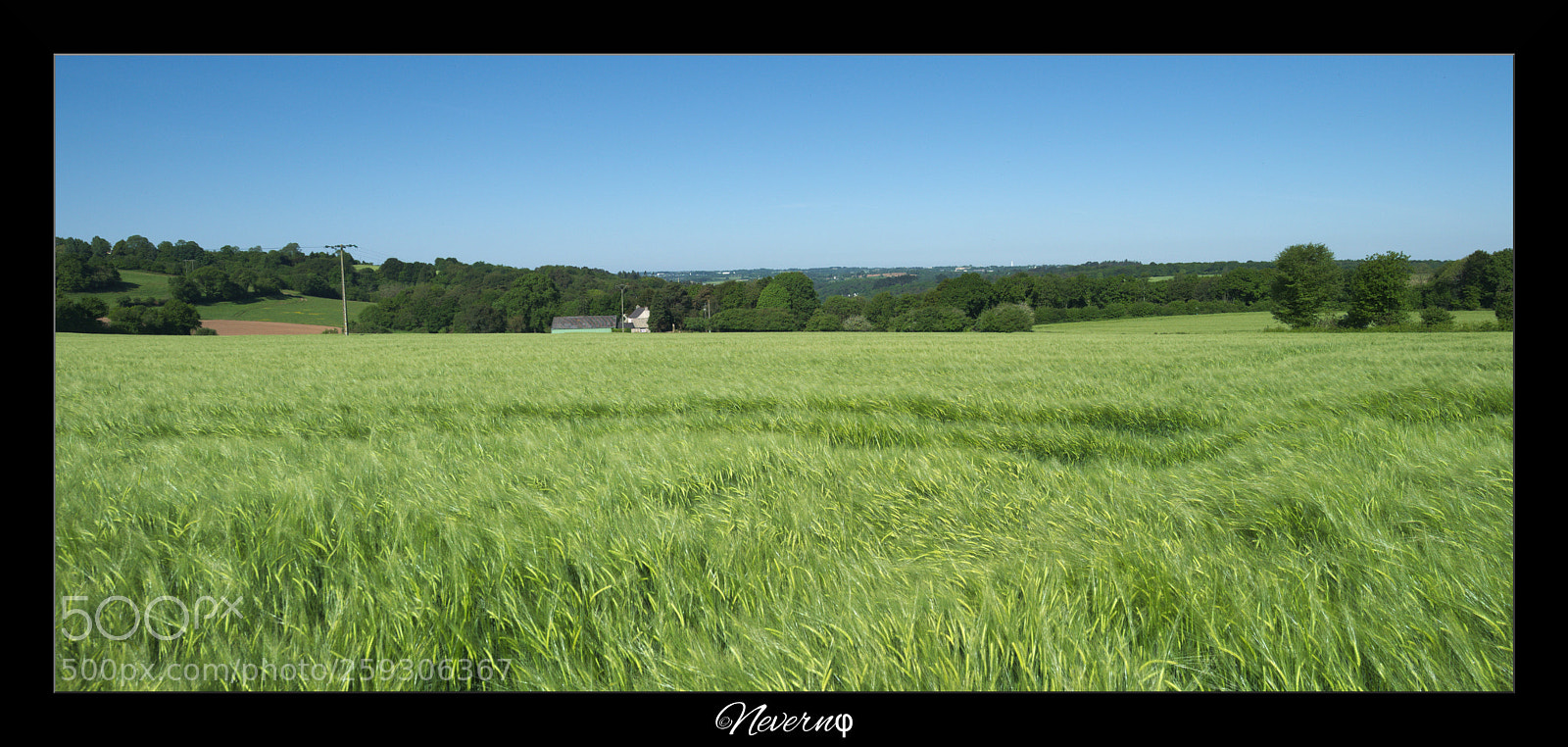 Pentax K-S2 sample photo. Champ de blé photography
