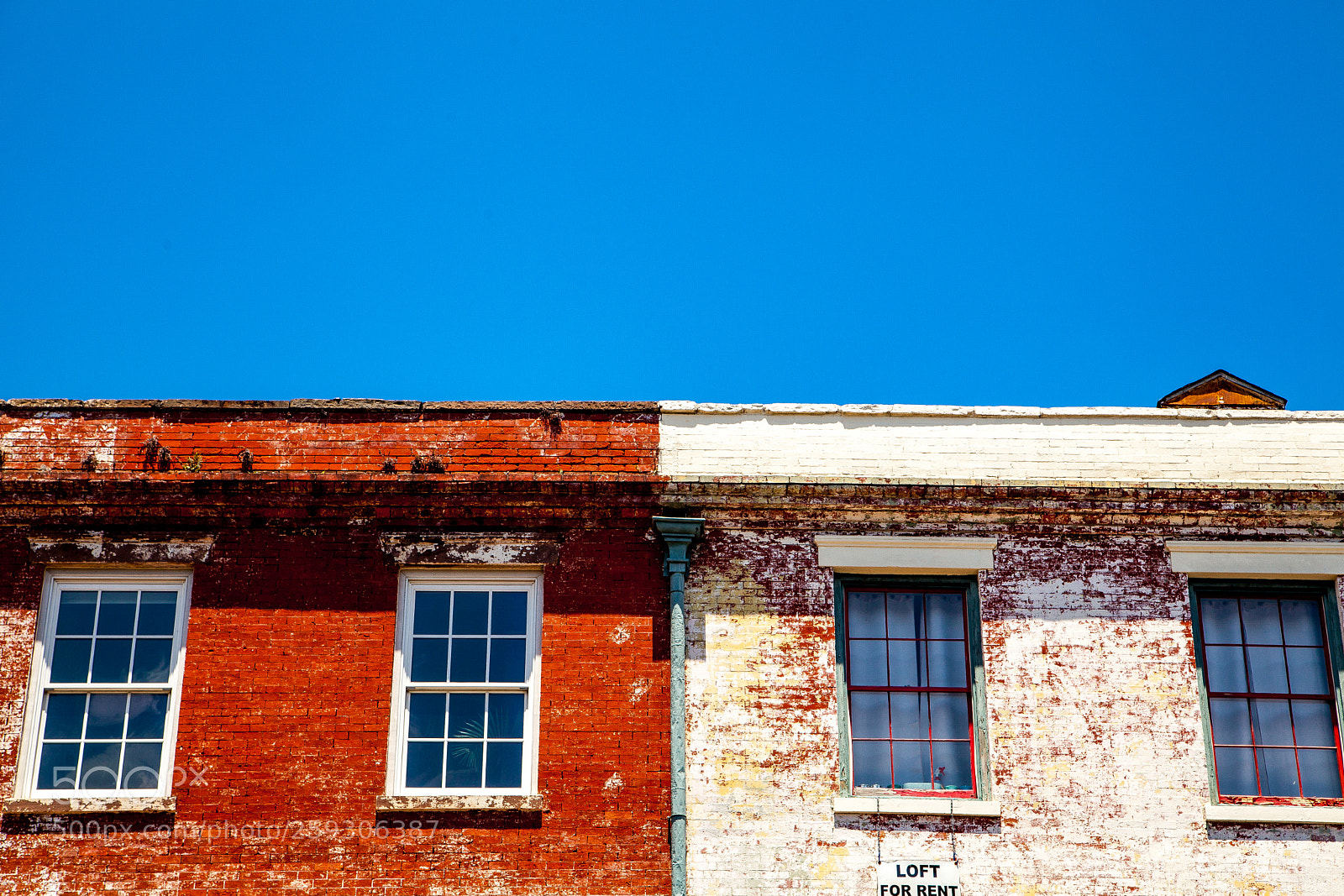 Canon EOS 5D Mark II sample photo. Red, white, and blue photography