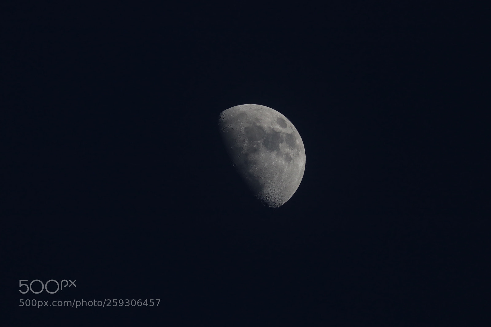 Canon EOS 80D sample photo. Untitled photography