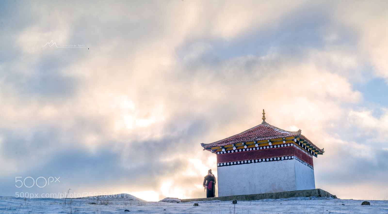 Nikon D810 sample photo. 向往光明 photography