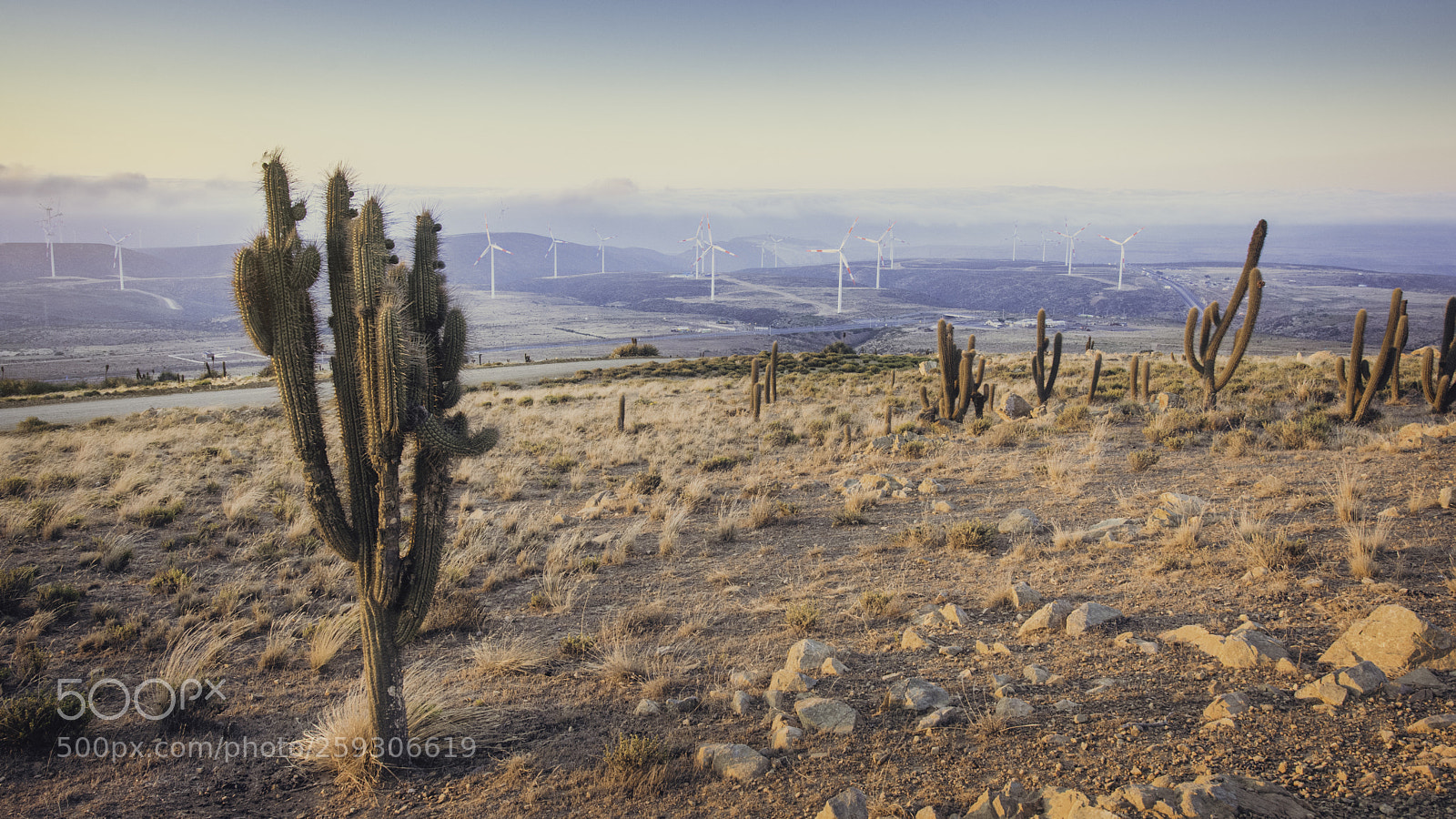 Nikon D7100 sample photo. Elqui valley - pacific photography