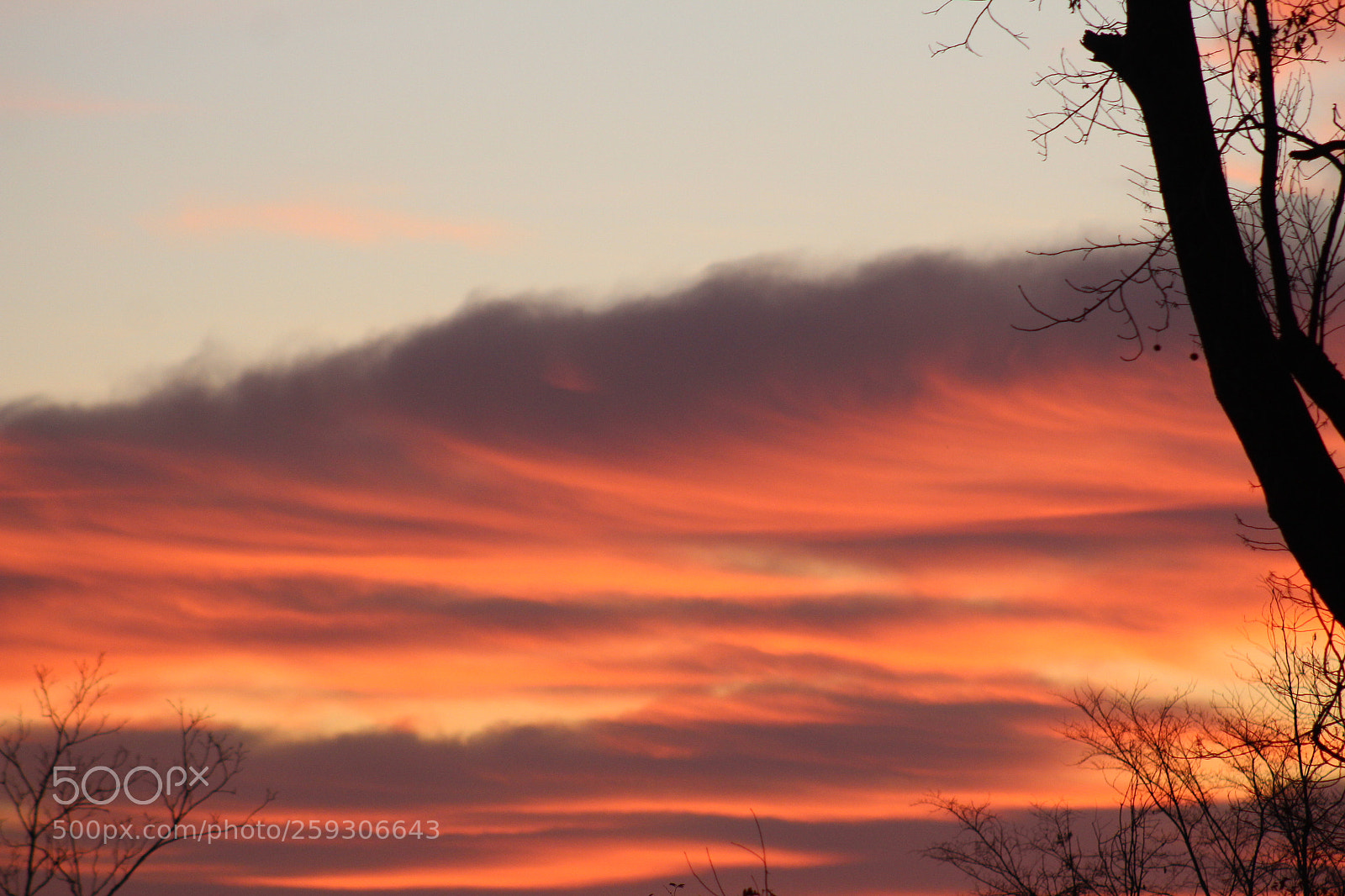 Canon EF 75-300mm f/4-5.6 sample photo. North carolina photography