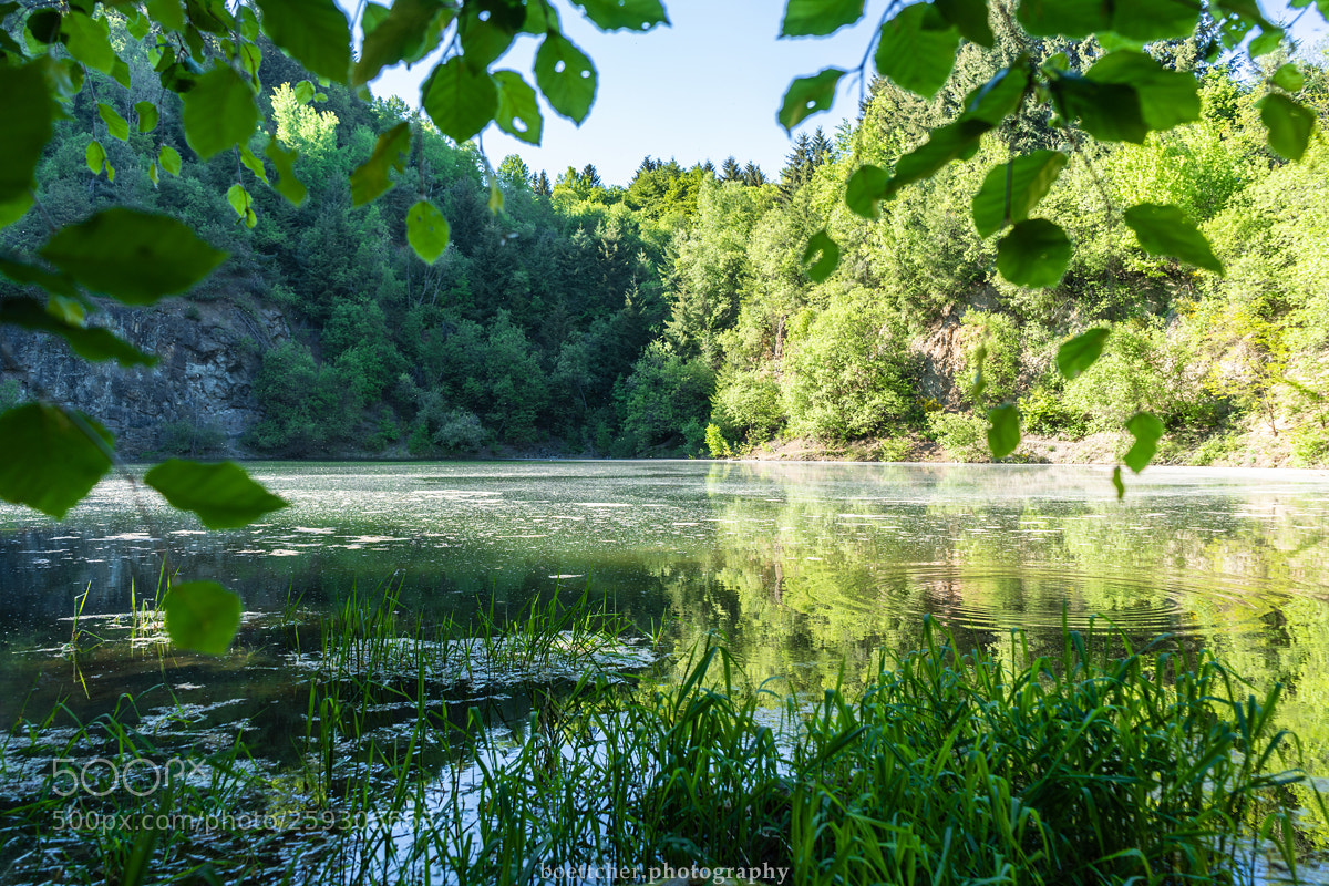 Sony a7 III sample photo. Katzenbuckel lake - may 2018 photography