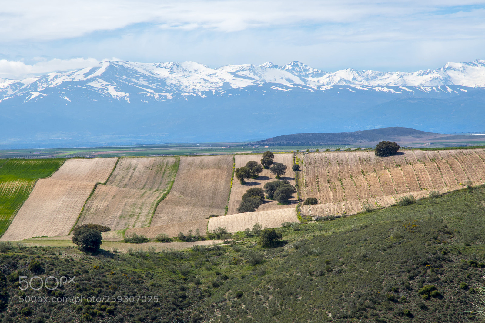 Nikon D500 sample photo. El delgaillo photography