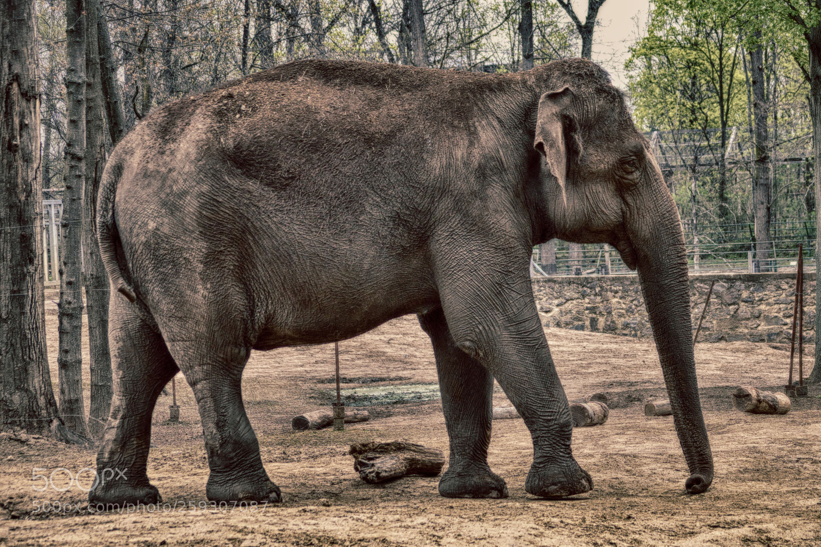 Nikon D3200 sample photo. Muddy dumbo photography