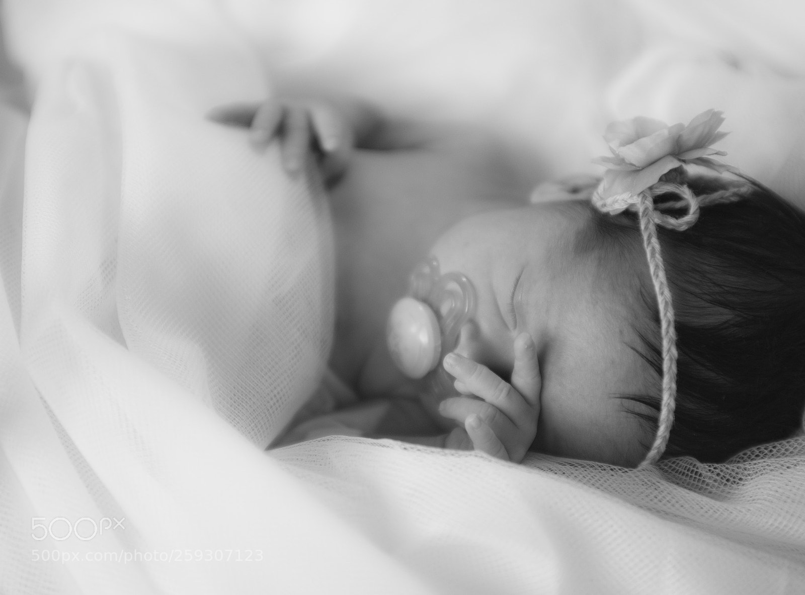 Nikon D750 sample photo. Aurora photography