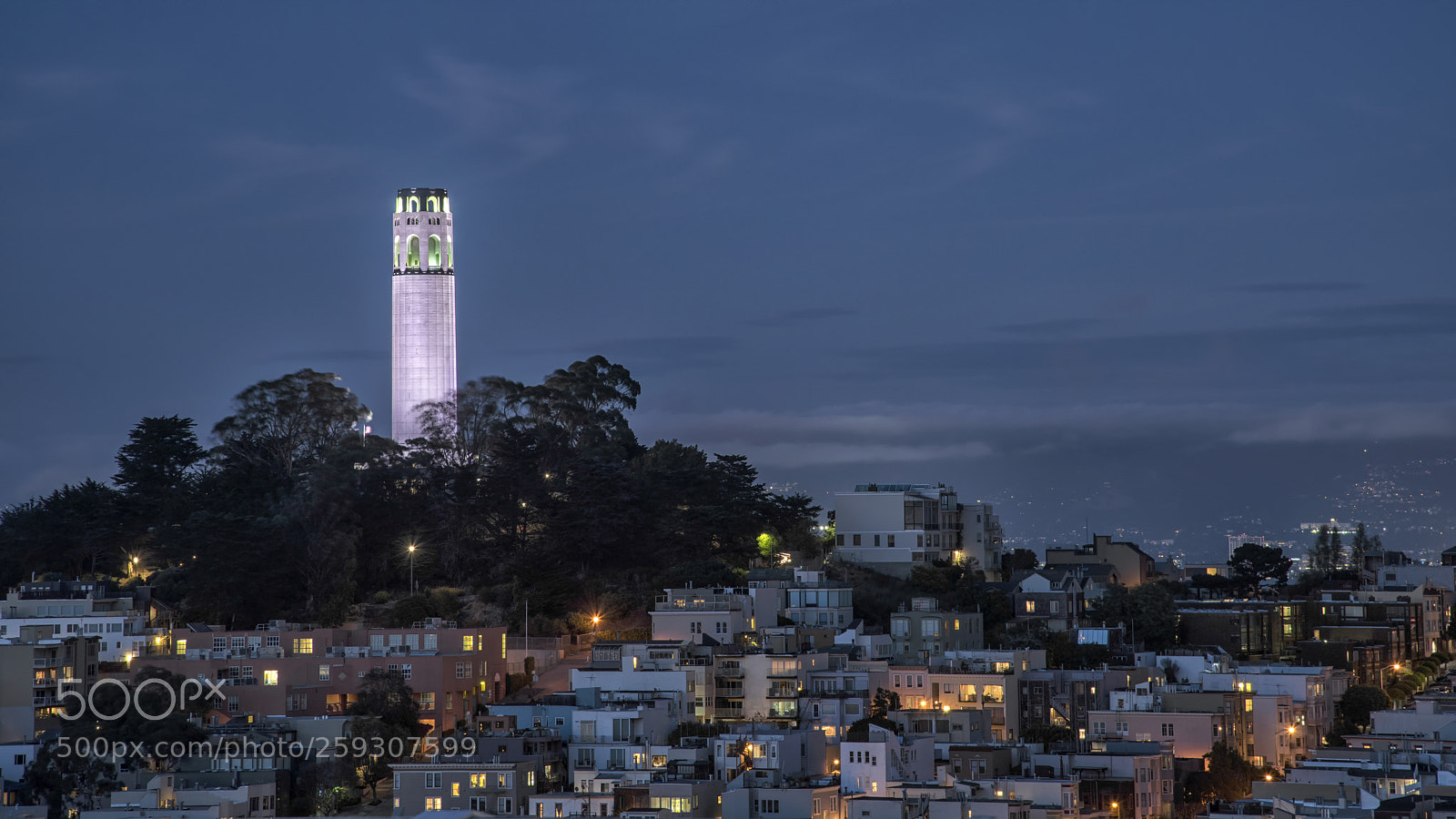 Nikon D810 sample photo. Coit tower san francisco photography