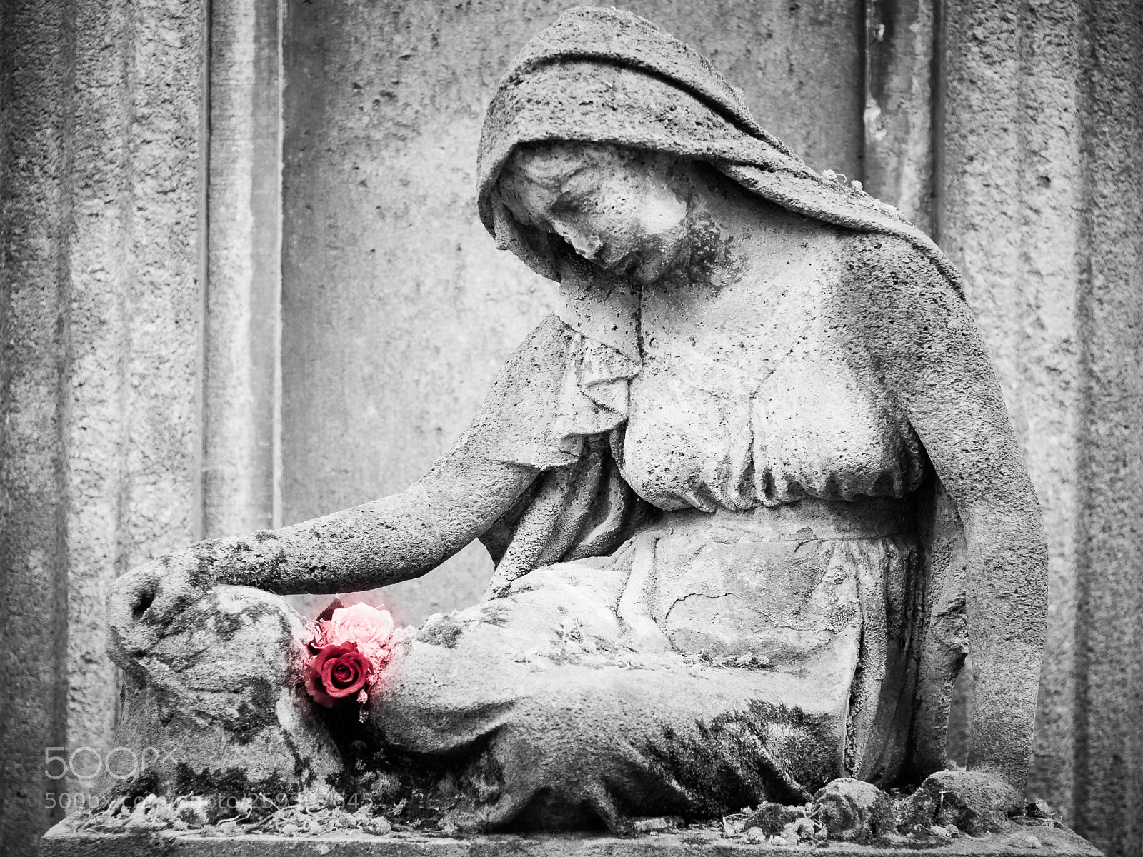 Nikon D90 sample photo. Transience of the beauty photography
