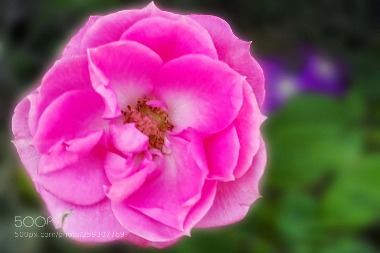 Samsung Galaxy Note4 sample photo. 320 photography