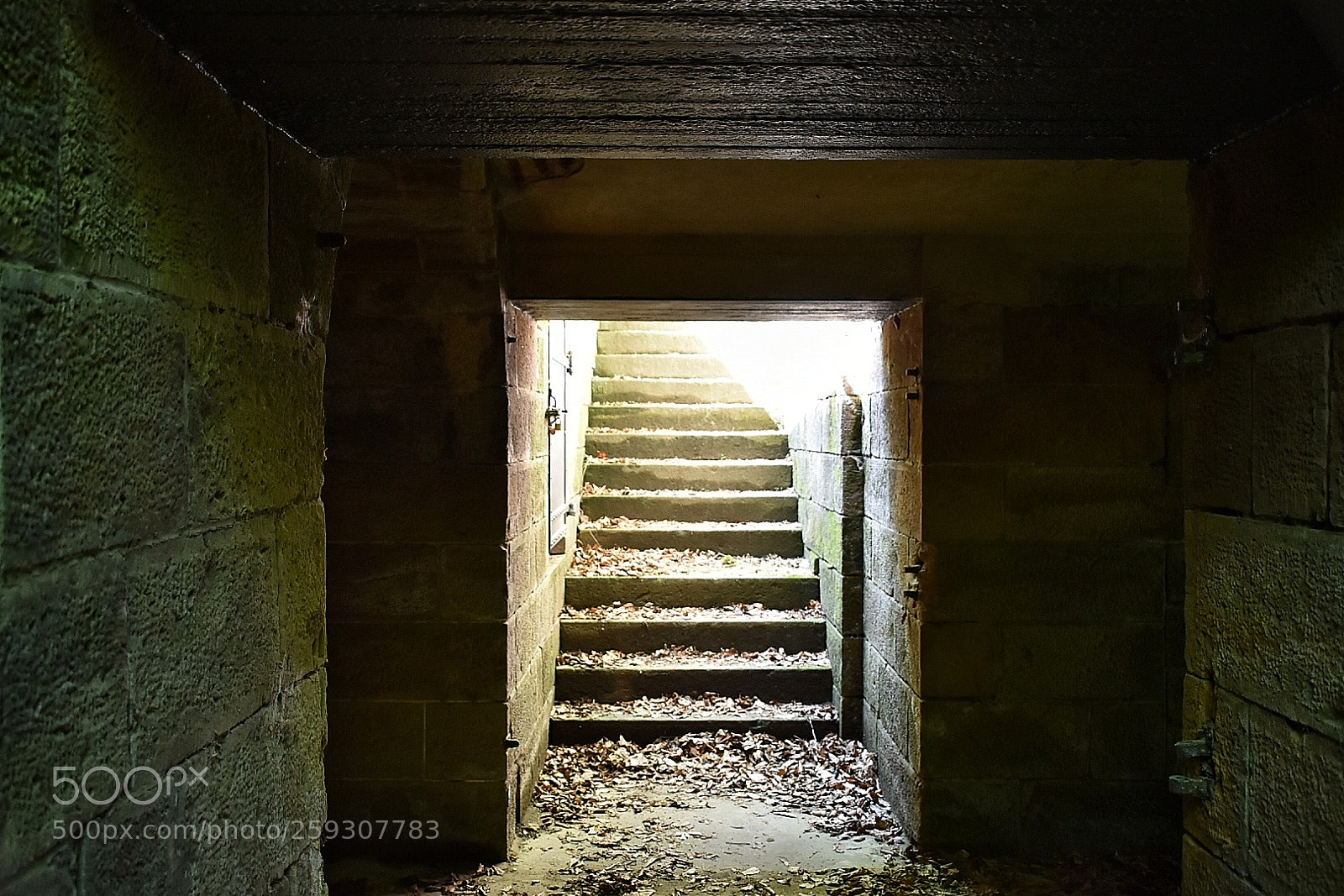 Nikon D5600 sample photo. Underpass in the fort photography