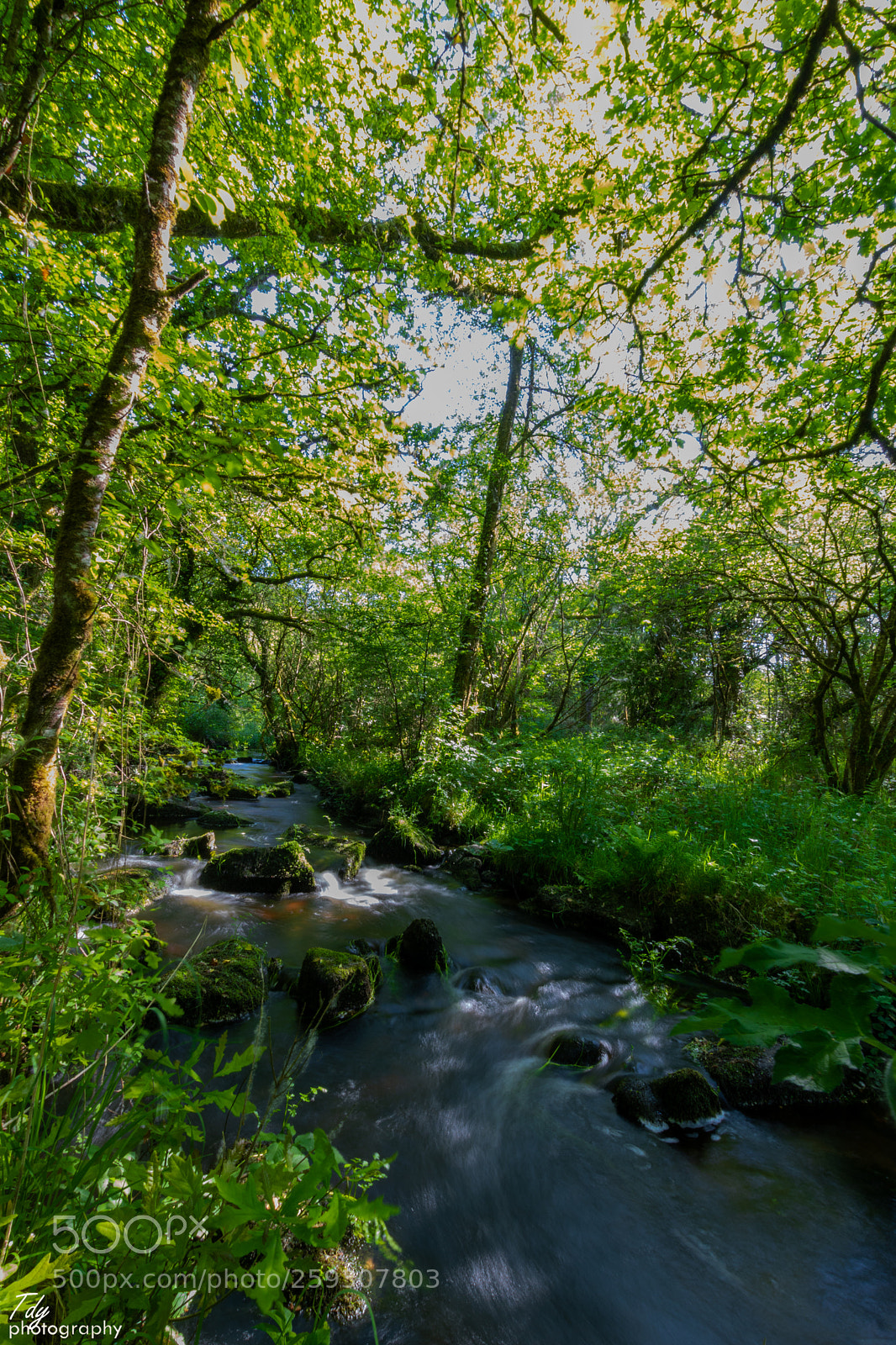 Canon EOS 750D (EOS Rebel T6i / EOS Kiss X8i) sample photo. Another shot from that photography