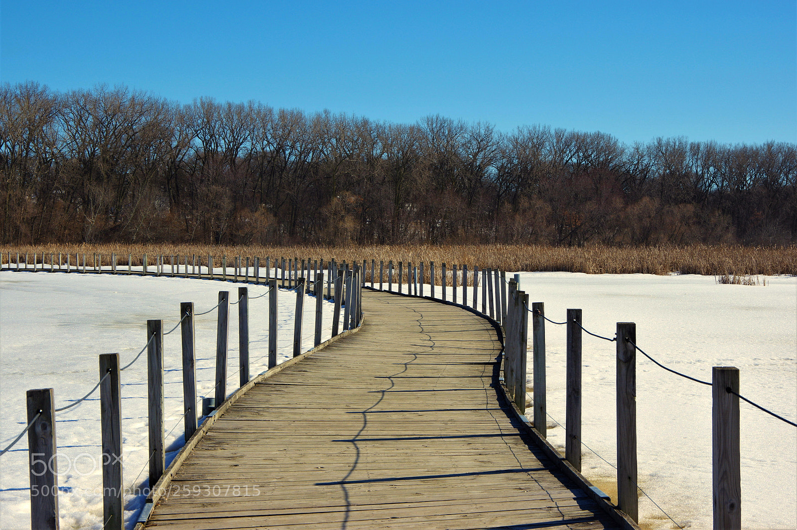 Pentax K-3 sample photo. One way photography