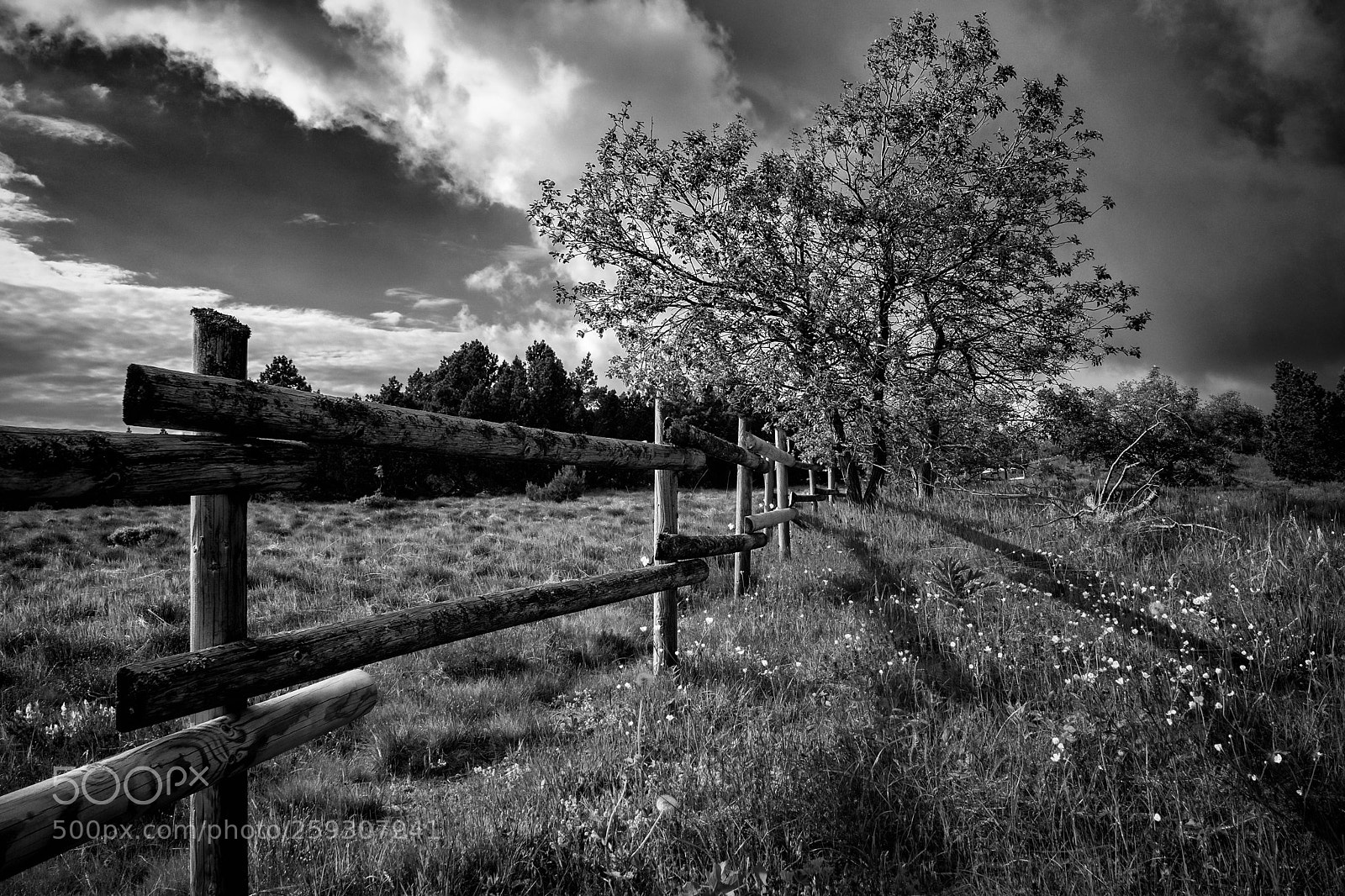 Sony a7 II sample photo. Schliffkopf photography
