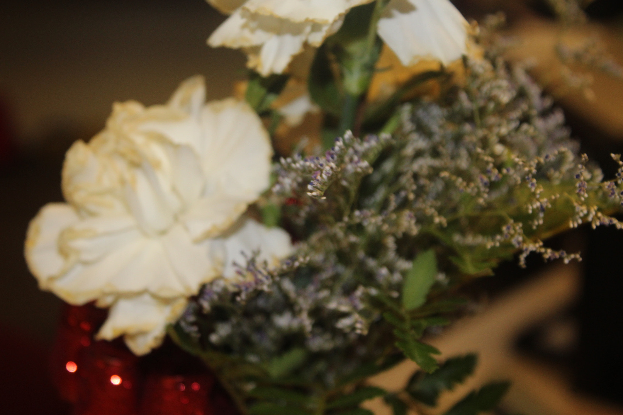 Canon EF-S 18-55mm F3.5-5.6 IS sample photo. Class critique photography