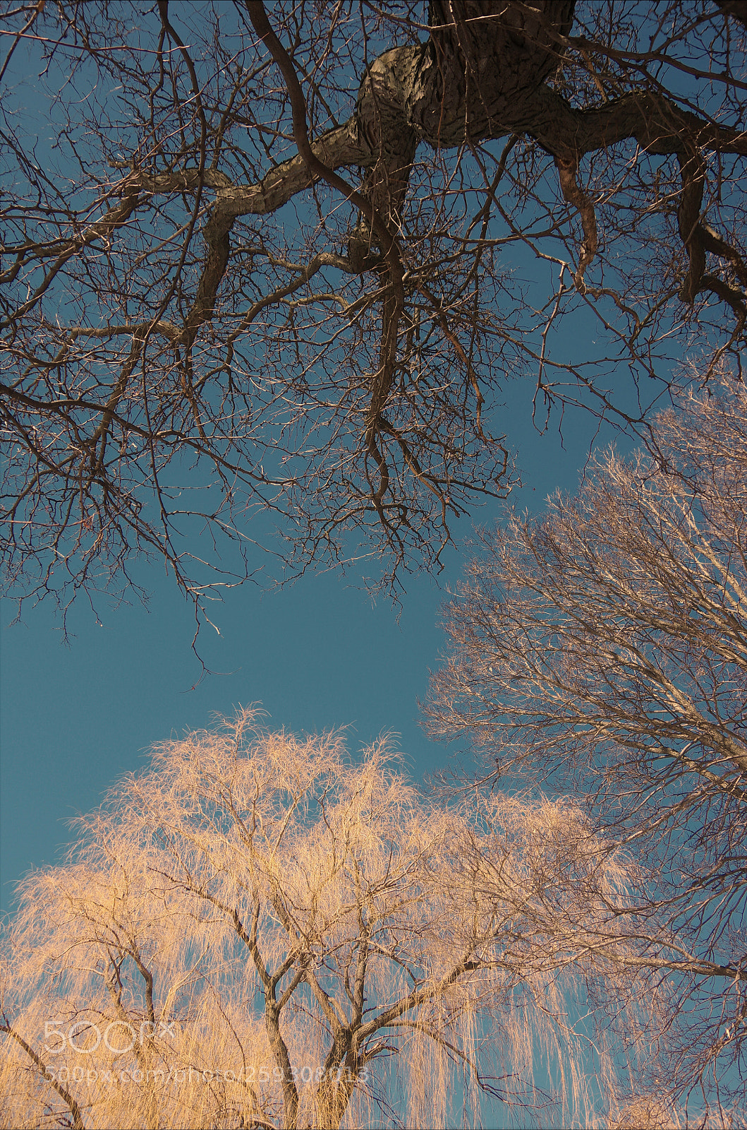 Pentax K-3 sample photo. T(h)ree photography