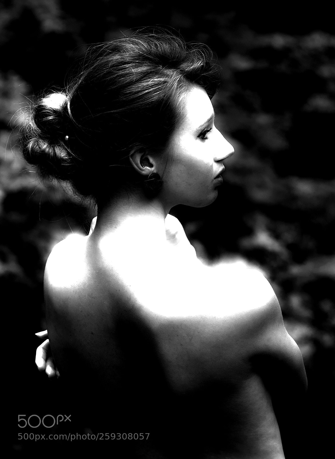 Fujifilm X-T1 sample photo. Francy photography