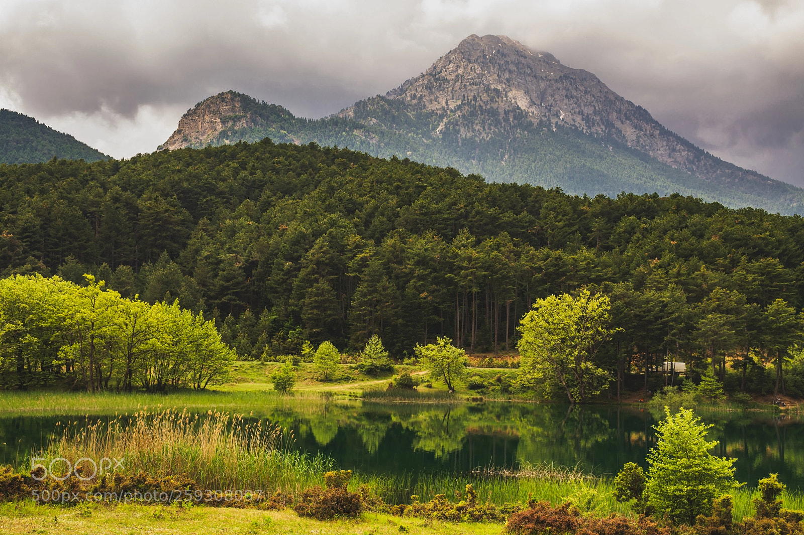 Nikon D7100 sample photo. Beauty in nature.. photography