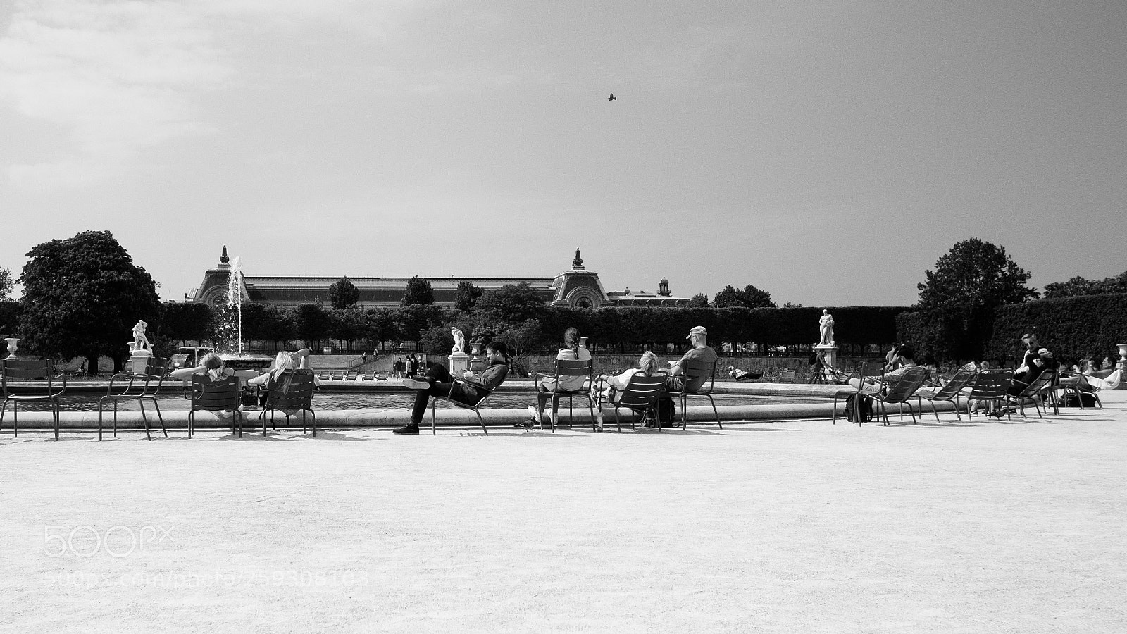 Fujifilm X-Pro2 sample photo. Bird photography