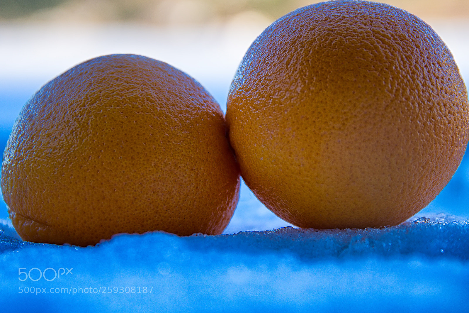 Canon EOS 6D sample photo. Easter oranges photography