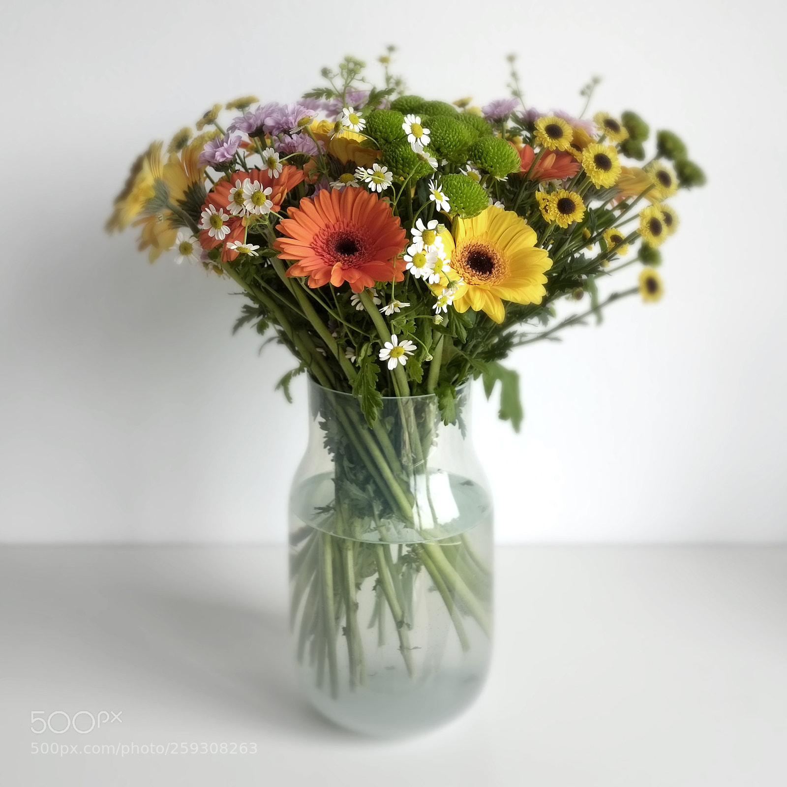 Fujifilm X-E1 sample photo. Flowers photography