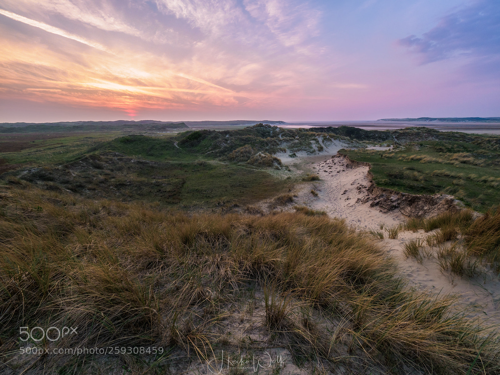 Olympus OM-D E-M1 Mark II sample photo. Dunes of texel photography