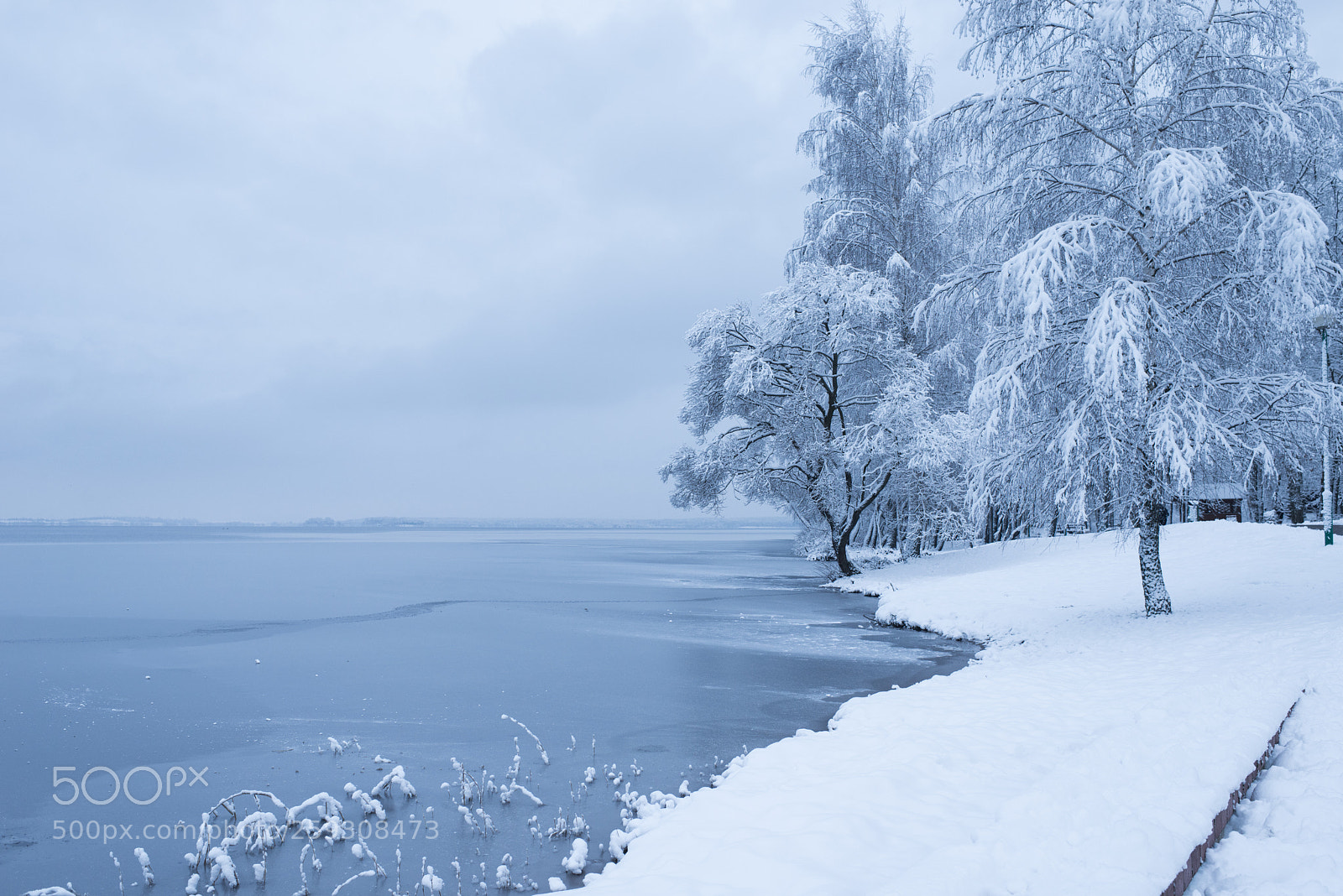 Nikon D800E sample photo. Wintet lake photography
