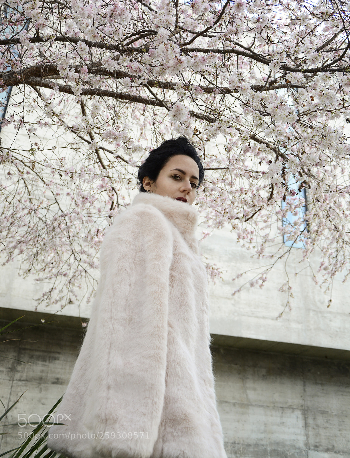 Nikon D7100 sample photo. Pink photography