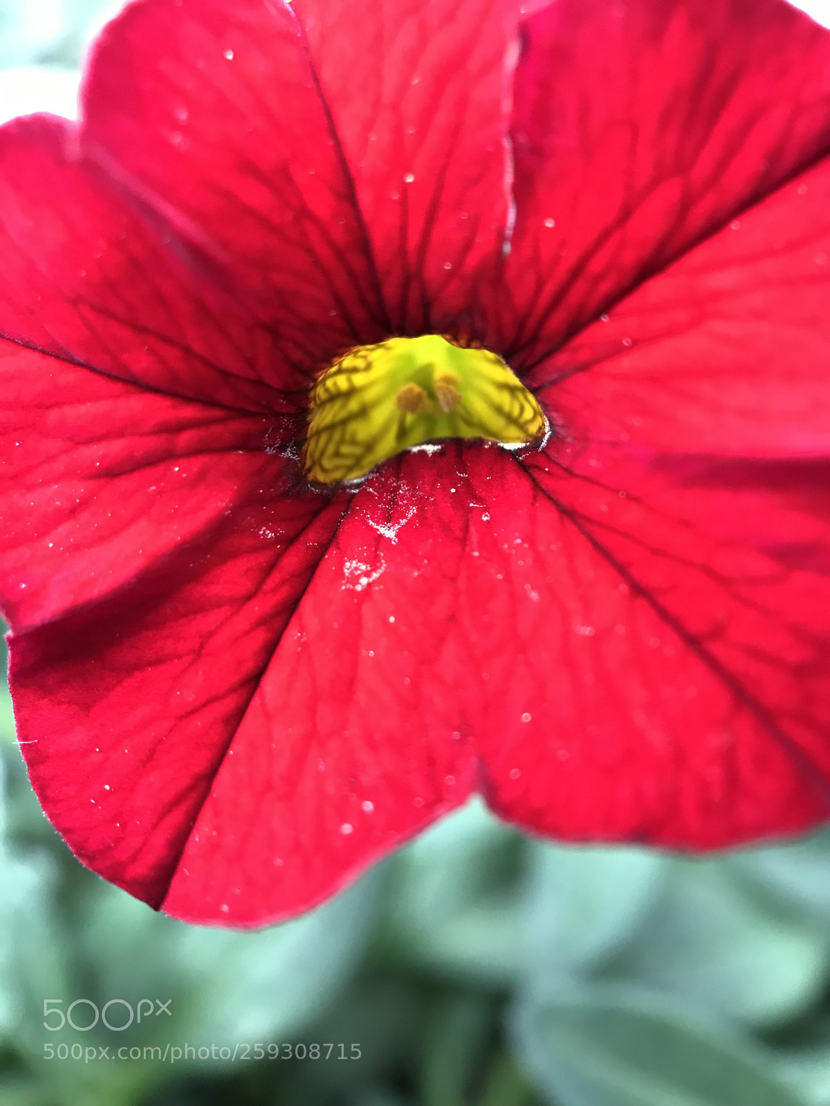 Apple iPhone 7 sample photo. Untitled photography