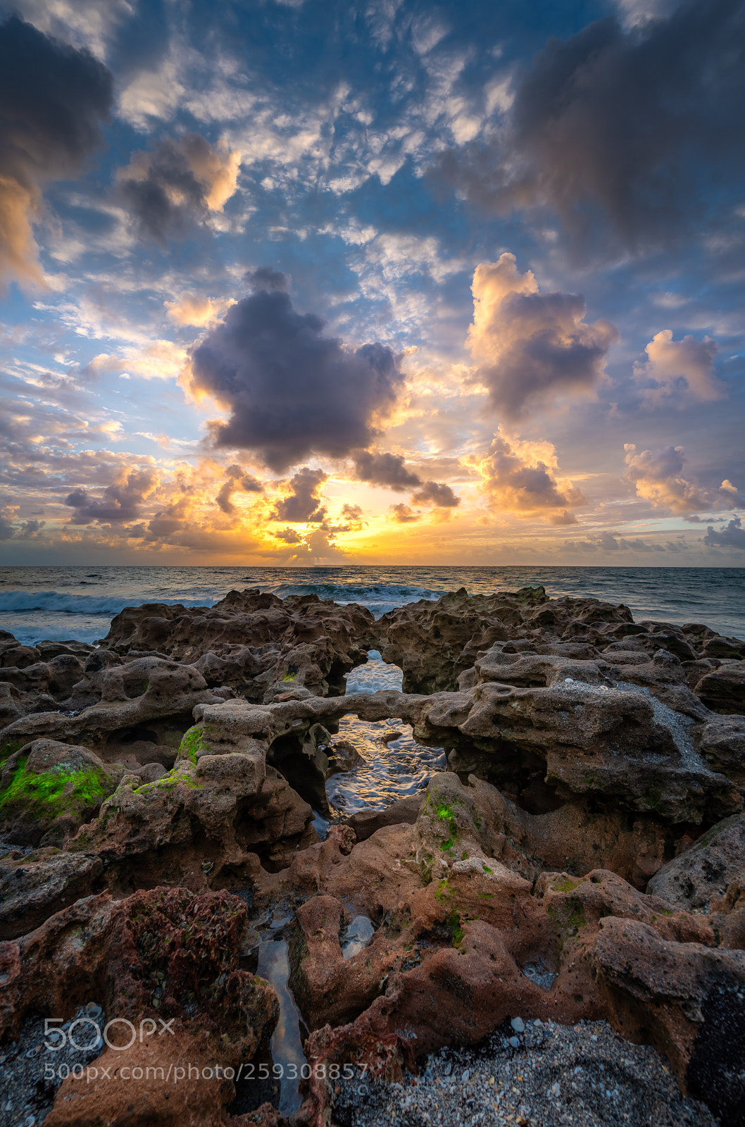 Sony a7R III sample photo. Coralcove hdr pano edit photography