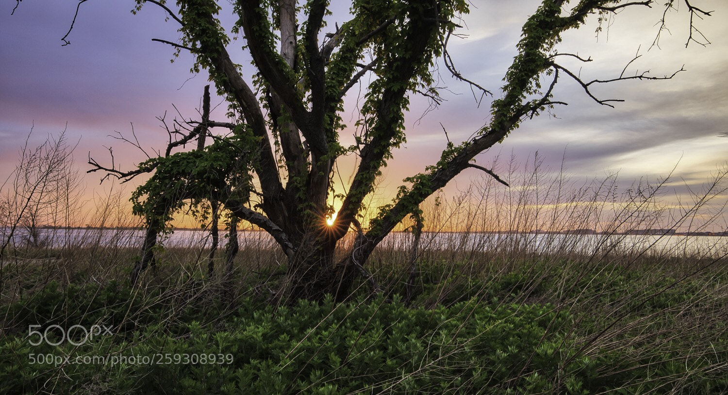 Canon EOS 5D Mark IV sample photo. Embracing a daybreak photography