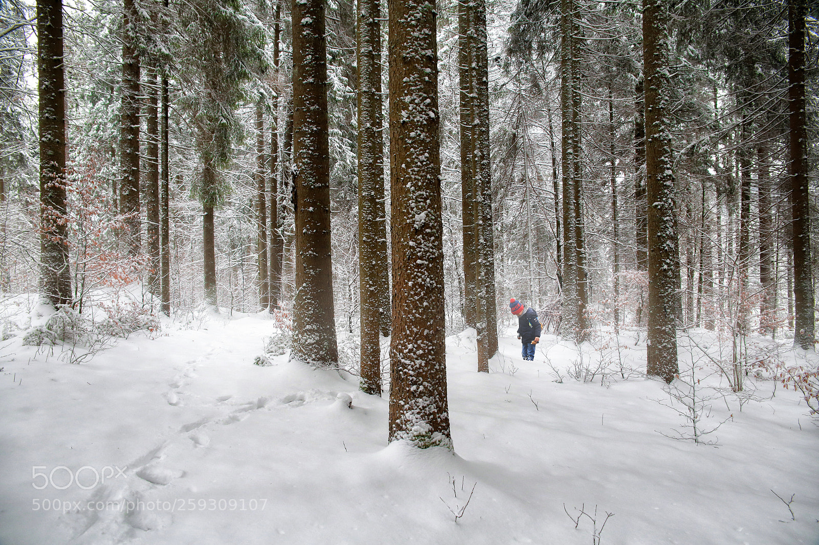 Canon EOS 6D sample photo. 北方的雪 photography