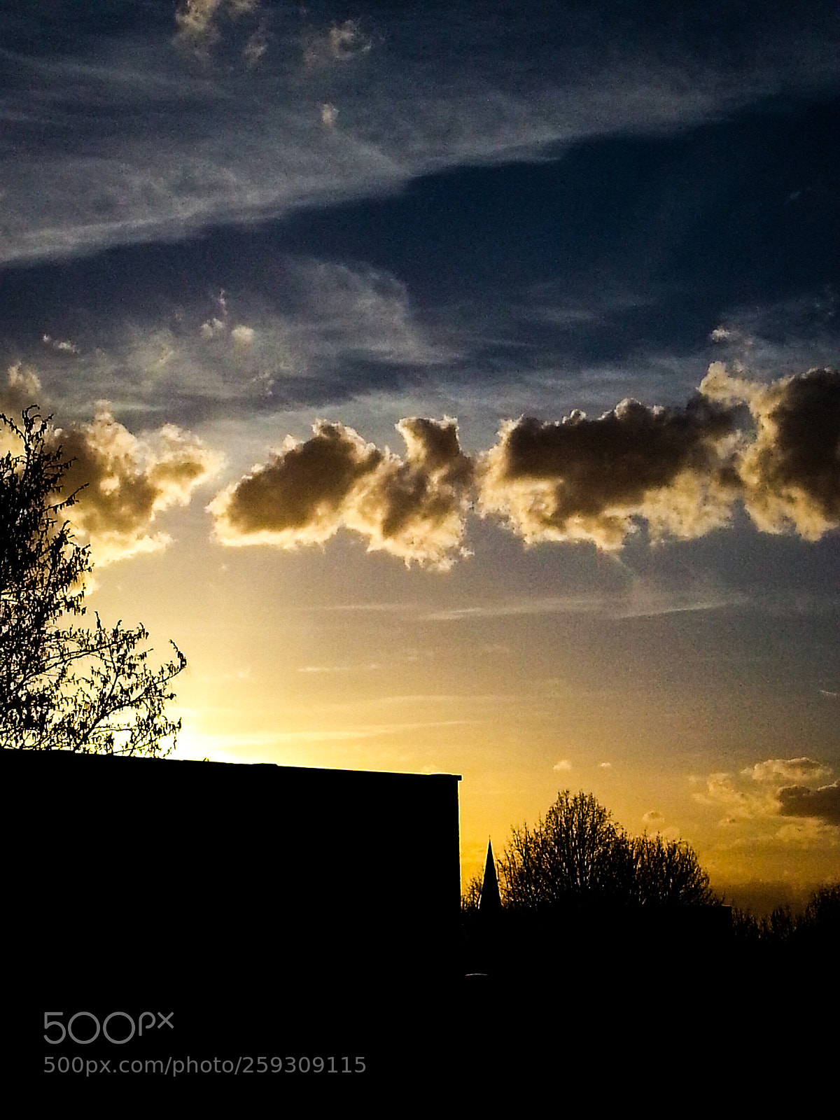 Samsung Galaxy S3 sample photo. Like sheep photography
